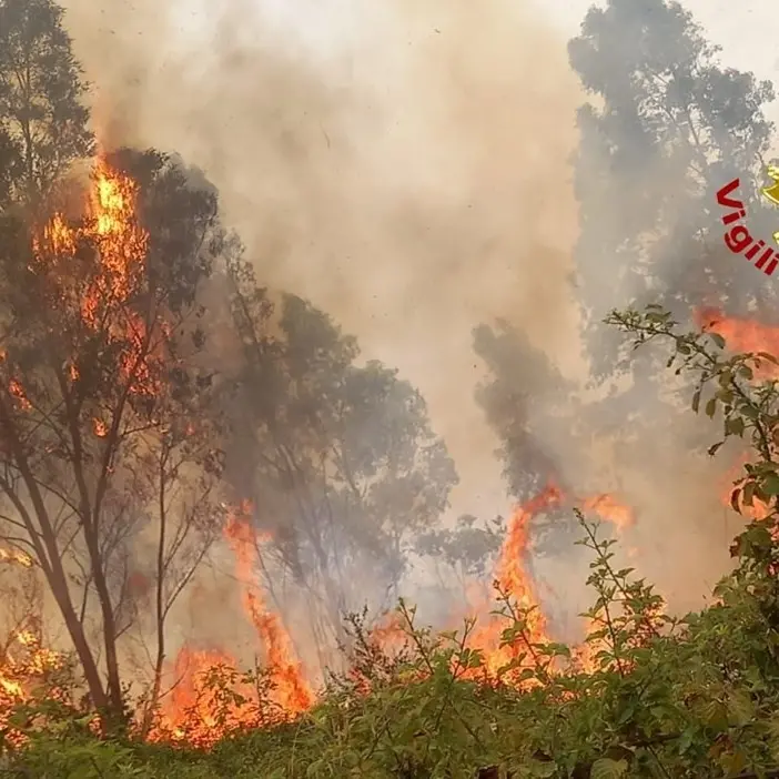 In Calabria altra giornata di fuoco con 43 incendi attivi: Cosenza e Reggio i territori più colpiti