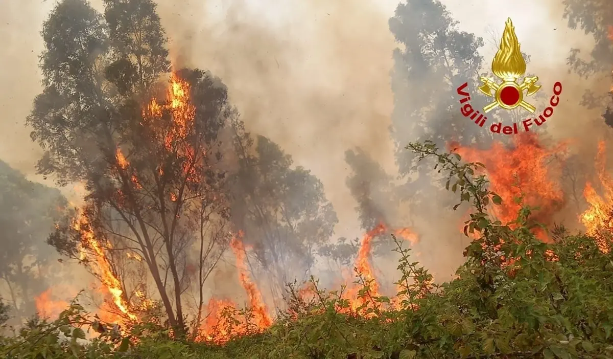 In Calabria altra giornata di fuoco con 43 incendi attivi: Cosenza e Reggio i territori più colpiti