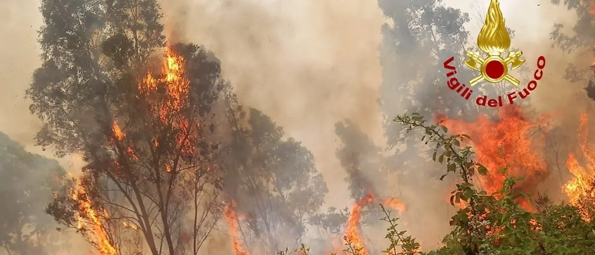 In Calabria altra giornata di fuoco con 43 incendi attivi: Cosenza e Reggio i territori più colpiti
