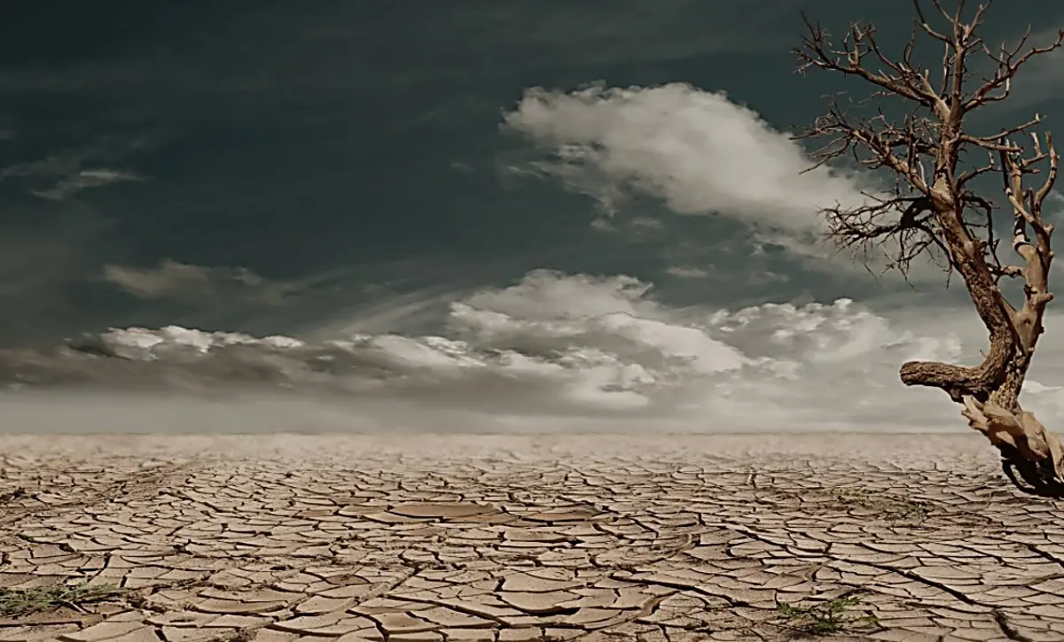 Cambiamenti climatici sempre più veloci, l’Onu lancia l'allarme: «Crisi da codice rosso»