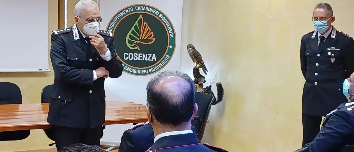 Incendi, il generale della Forestale Marzo a Cosenza: «C’è la mano dell’uomo, indagini serrate»