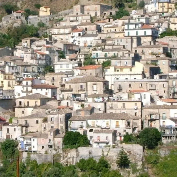 Incendi a Grotteria, morto in un rogo allevatore della Locride: cercava di salvare i suoi animali