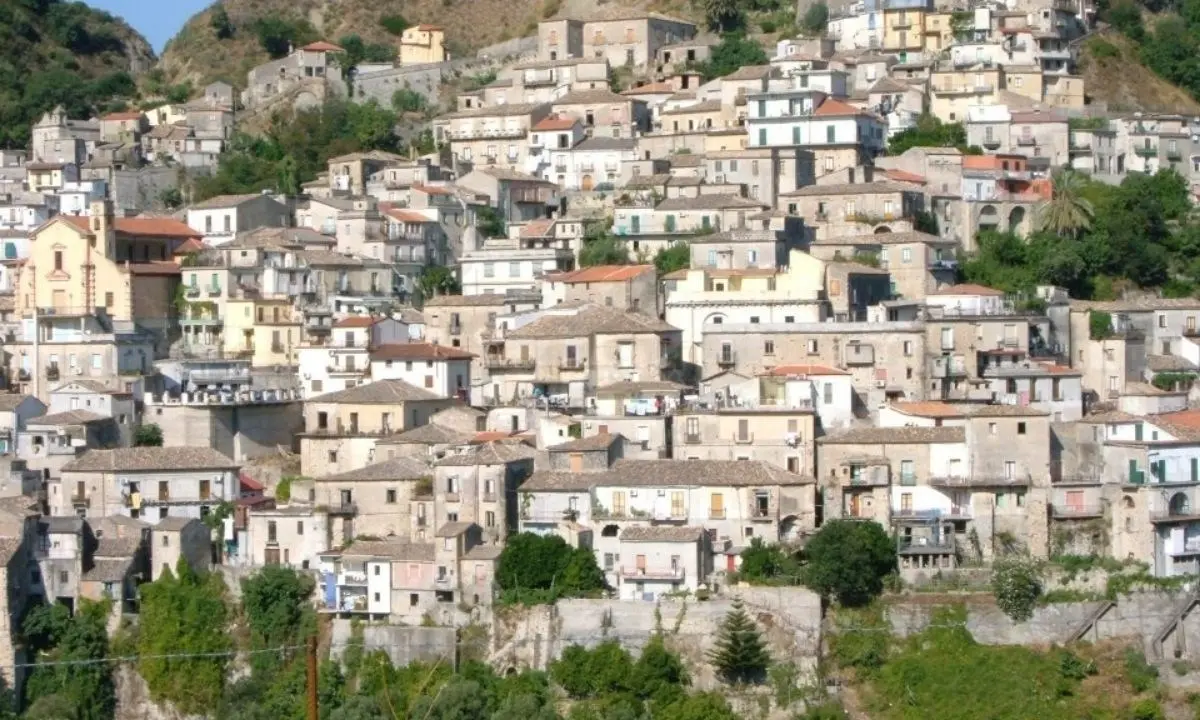 Incendi a Grotteria, morto in un rogo allevatore della Locride: cercava di salvare i suoi animali