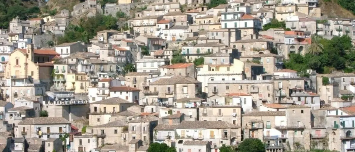 Incendi a Grotteria, morto in un rogo allevatore della Locride: cercava di salvare i suoi animali