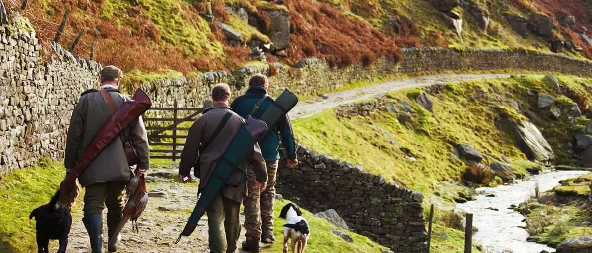 Approvato il nuovo calendario venatorio: sarà vietato cacciare nelle zone colpite da incendi