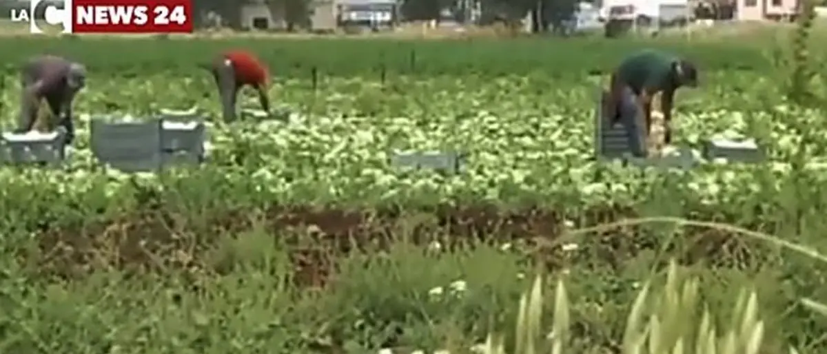 Cassano, firmato un protocollo contro lo sfruttamento dei lavoratori