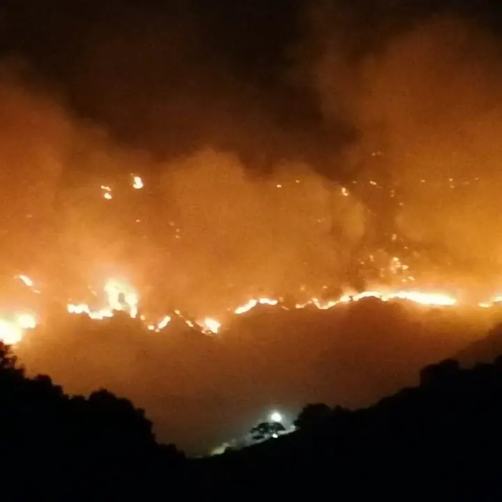 Emergenza incendi, roghi ancora ardenti a Catanzaro ma ora a divampare sono pure le polemiche