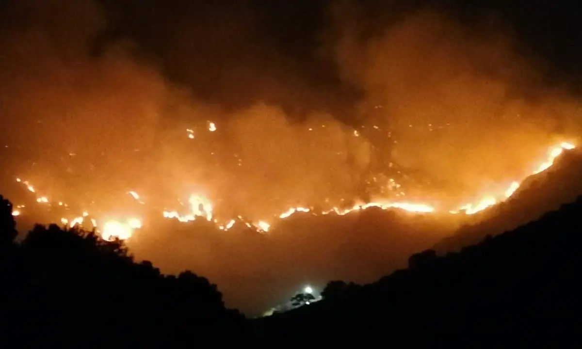 Emergenza incendi, roghi ancora ardenti a Catanzaro ma ora a divampare sono pure le polemiche