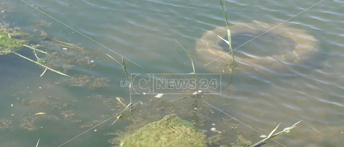 Mare e laghi italiani inquinati, Goletta verde individua 32 siti “malati cronici”: 5 sono in Calabria