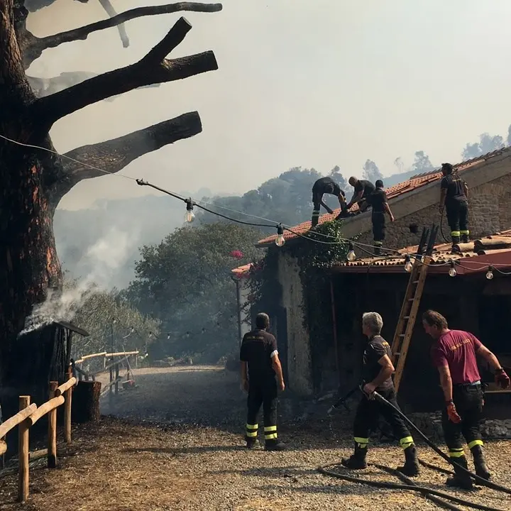 San Floro, il fuoco danneggia l’allevamento dei bachi da seta: «Aiutateci a ricostruire»