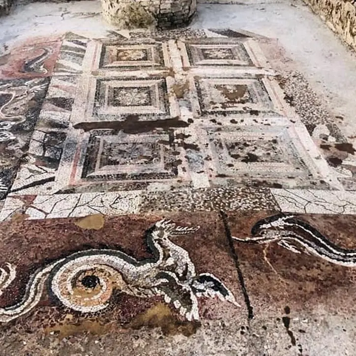 Il drago di Kaulon torna a stupire: visitabile fino al 31 agosto il mosaico del parco archeologico