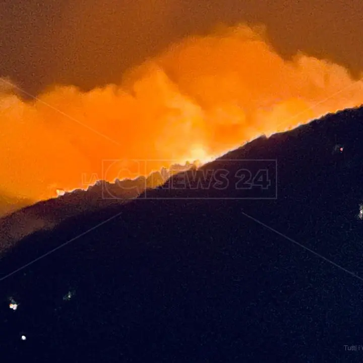 Incendi: «Bruciano Aspromonte e Calabria, difficile pensare che non c’entri la ‘ndrangheta»