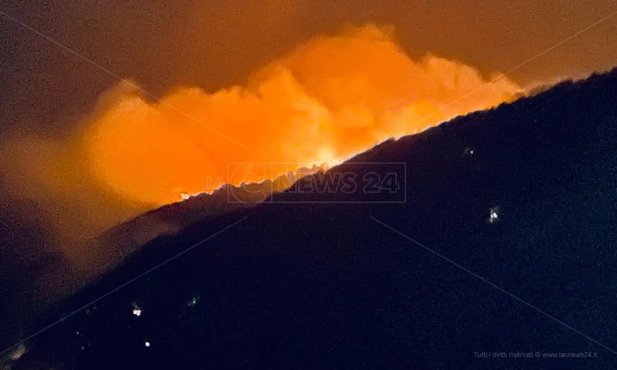 Incendi: «Bruciano Aspromonte e Calabria, difficile pensare che non c’entri la ‘ndrangheta»