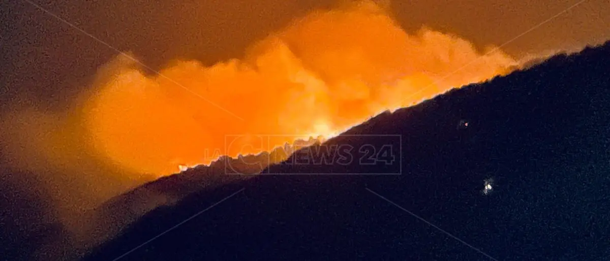 Incendi: «Bruciano Aspromonte e Calabria, difficile pensare che non c’entri la ‘ndrangheta»