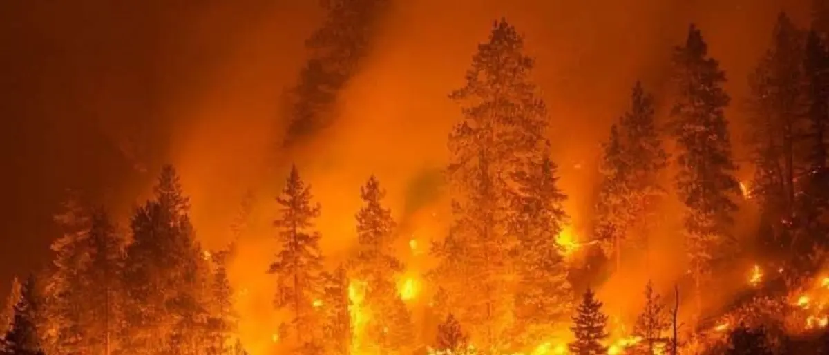 Incendi, Coldiretti: «Un costo per la collettività di diecimila euro a ettaro»