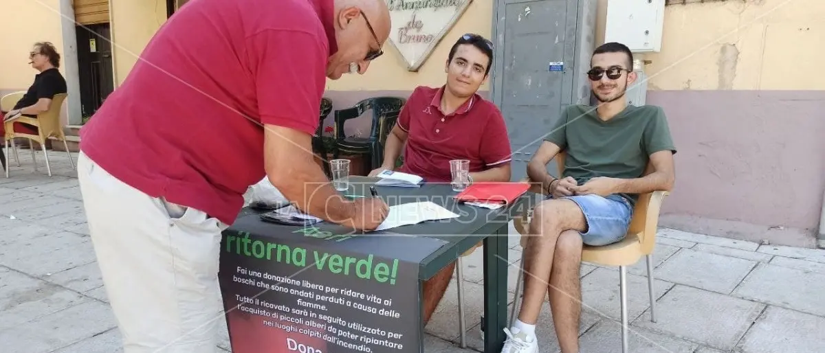 Incendi, ad Acri una raccolta fondi per ridare vita ai boschi distrutti dalle fiamme