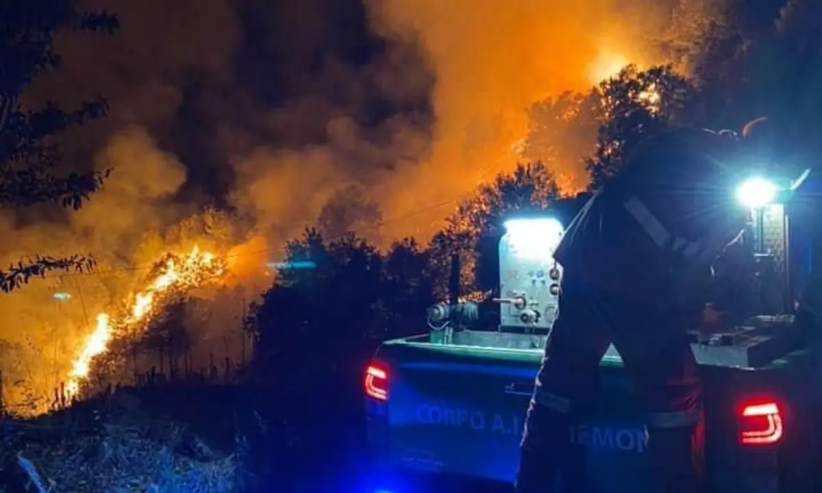 Incendi, brucia la montagna di Casali del Manco: a rischio Pedace e Casole Bruzio