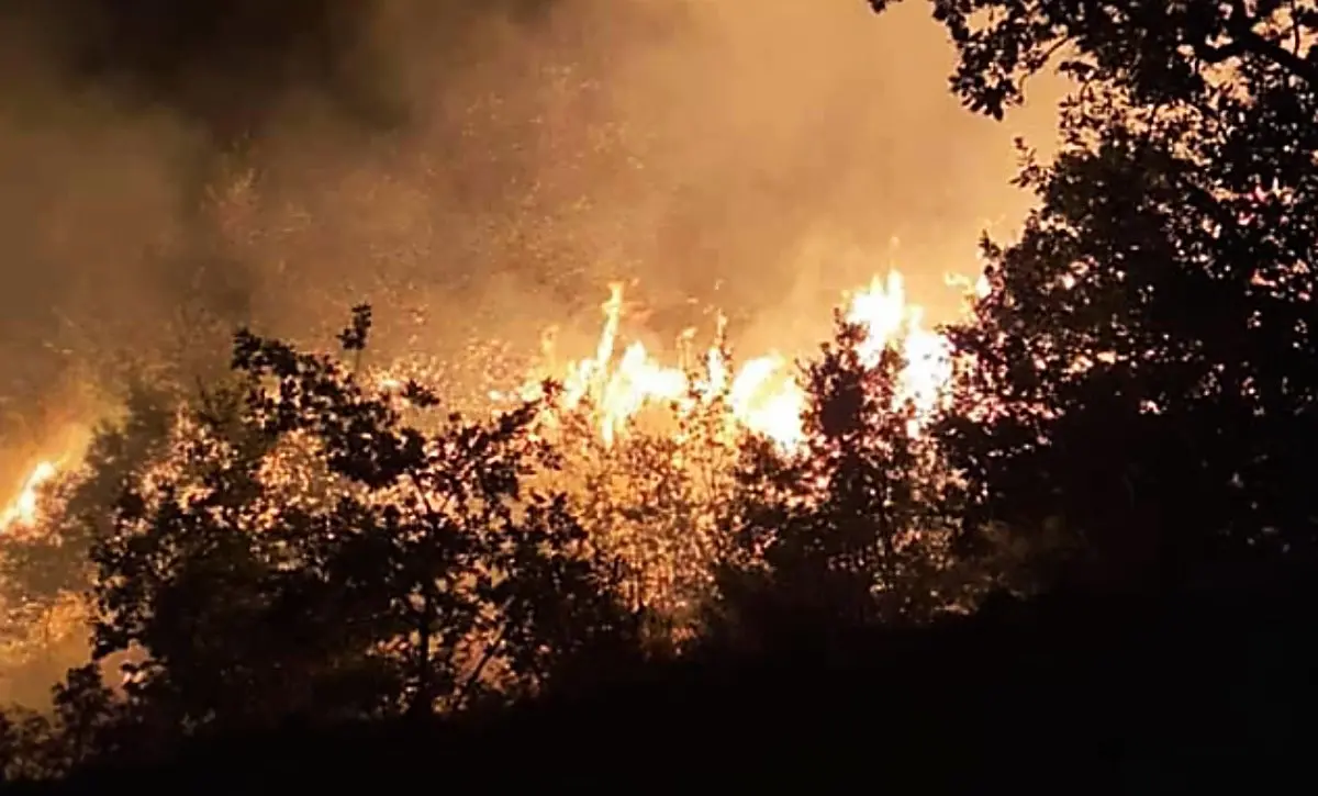 Incendio nel Cosentino, sedate le fiamme sulla montagna di Casali del Manco