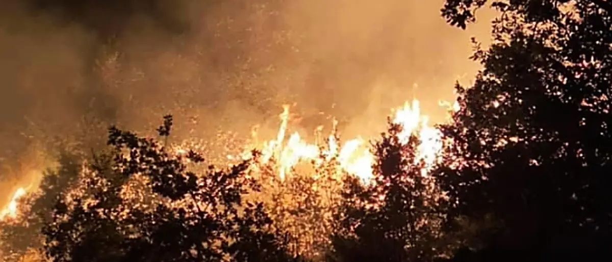 Incendio nel Cosentino, sedate le fiamme sulla montagna di Casali del Manco