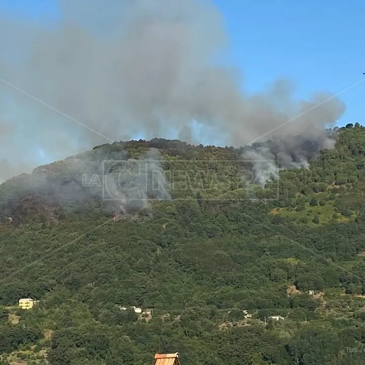 Incendi, da 8 ore canadair in azione a Lago (Cosenza): brucia la pineta creata negli anni ‘80