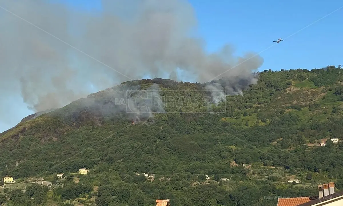 Incendi, da 8 ore canadair in azione a Lago (Cosenza): brucia la pineta creata negli anni ‘80