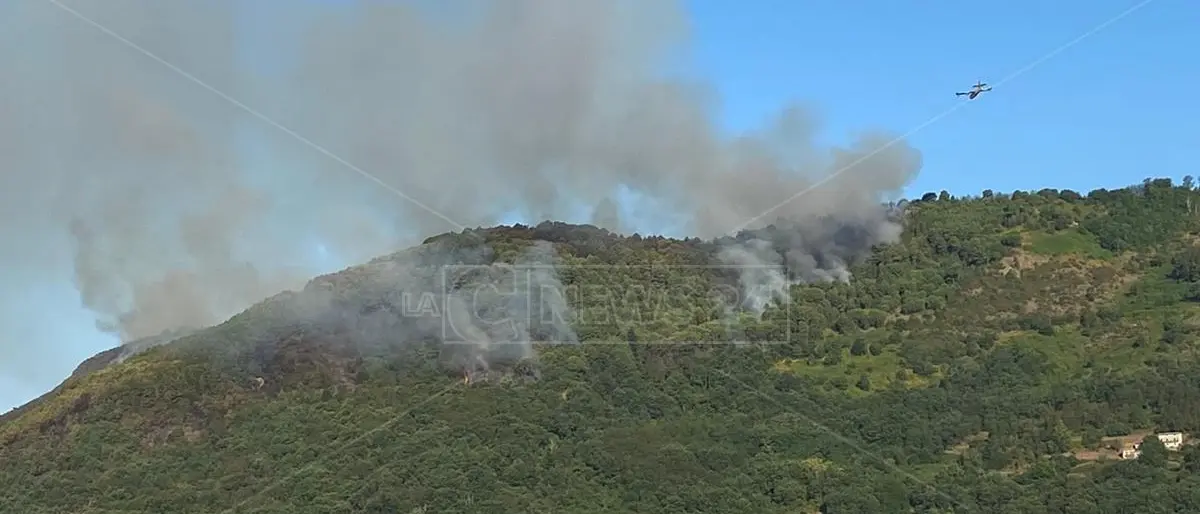 Incendi, da 8 ore canadair in azione a Lago (Cosenza): brucia la pineta creata negli anni ‘80