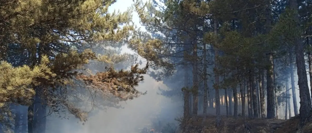 Incendi, il presidente della Società di geologia ambientale: «Disegno criminoso, ora territorio a rischio»