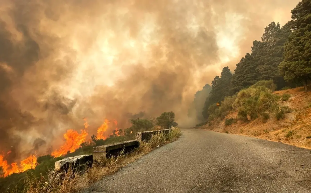 Incendi, la proposta di Cambiamo la Calabria: «Prevenzione e strategie grazie ai fondi Ue»