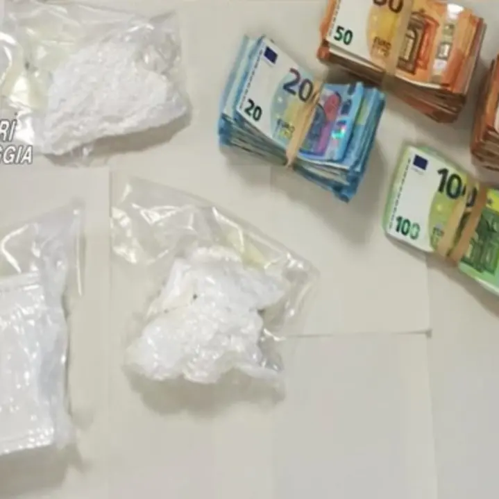 Beccato con cocaina e 45mila euro nello zaino: calabrese arrestato nelle campagne di Foggia