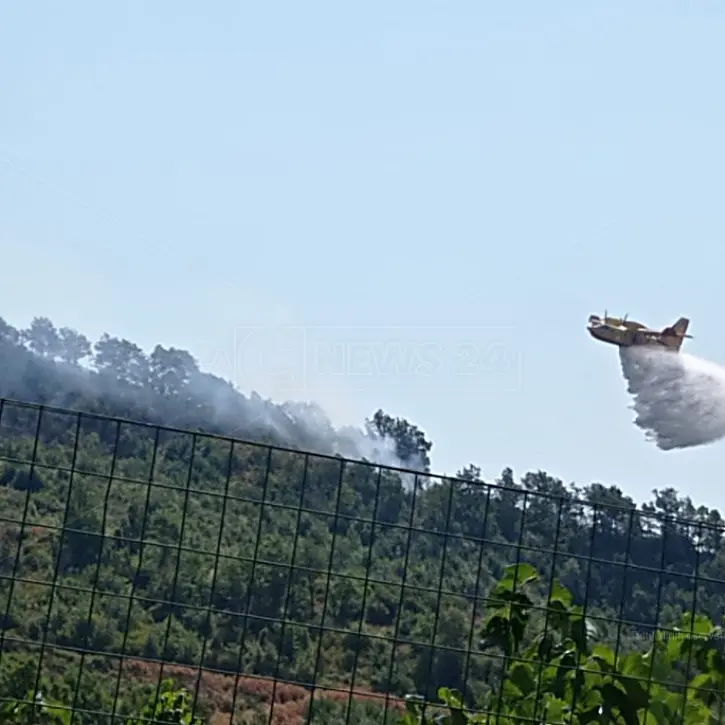 Brucia la montagna di Fagnano Castello, sul posto due canadair e pompieri dall’Emilia Romagna