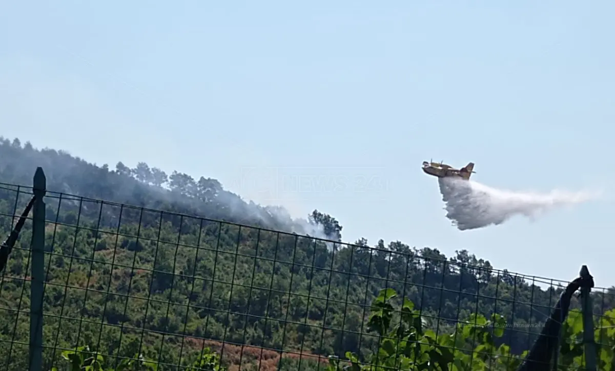 Brucia la montagna di Fagnano Castello, sul posto due canadair e pompieri dall’Emilia Romagna