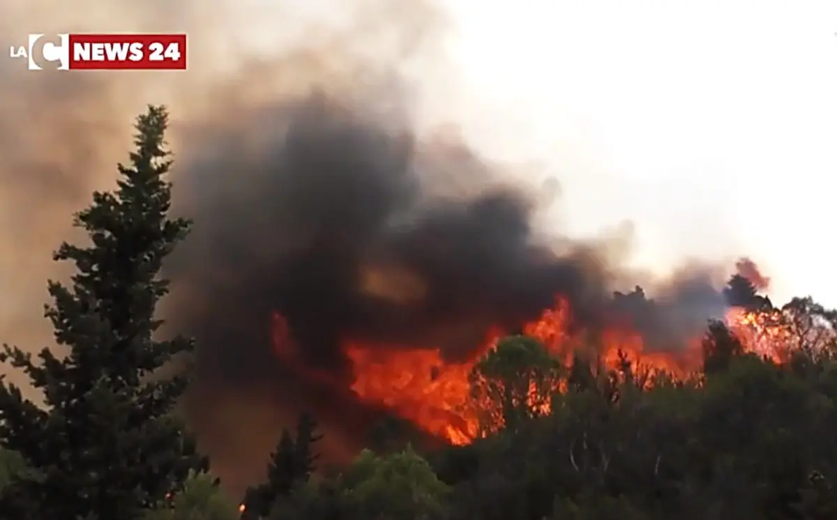 La Calabria brucia ancora: oltre 200 interventi nelle ultime ore, nuovo incendio nel Reggino