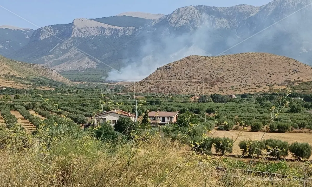 Incendi, fiamme nei pressi dell’autostrada A2: traffico bloccato nel Cosentino -LIVE