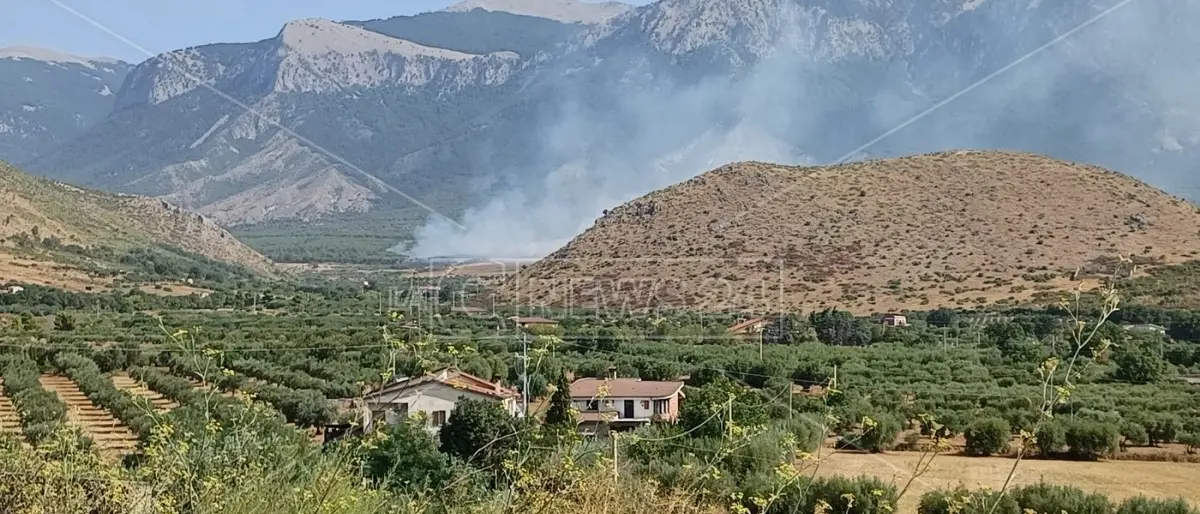 Incendi, fiamme nei pressi dell’autostrada A2: traffico bloccato nel Cosentino -LIVE