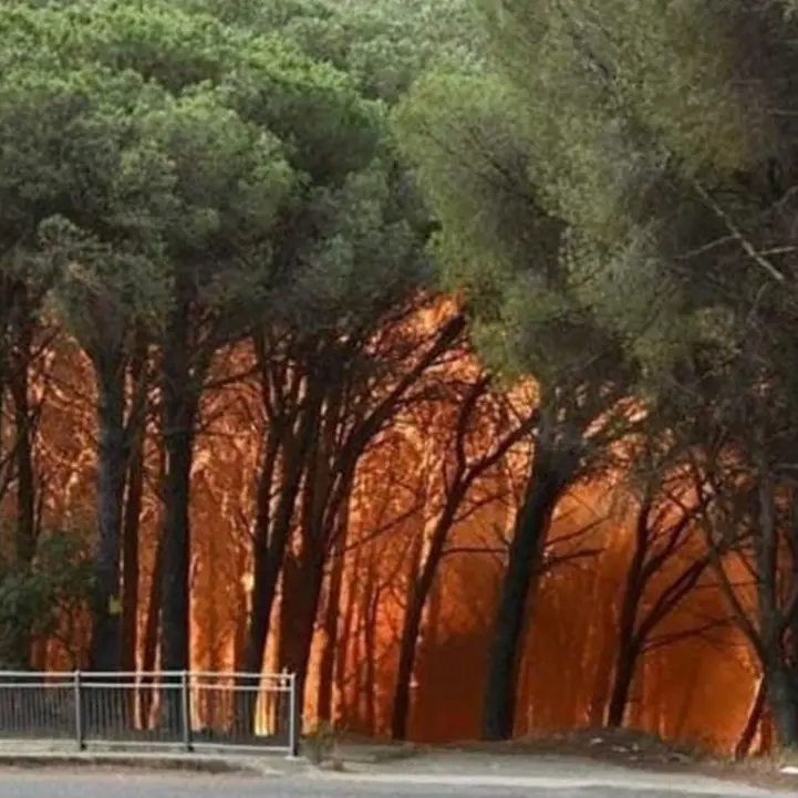 Emergenza incendi a Catanzaro, ancora fiamme nella pineta di Siano