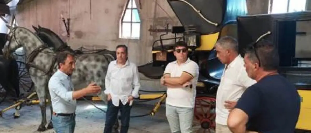 Catanzaro, dopo gli incendi danni al podere di Siano. Abramo: «Vogliamo portare in salvo le carrozze»