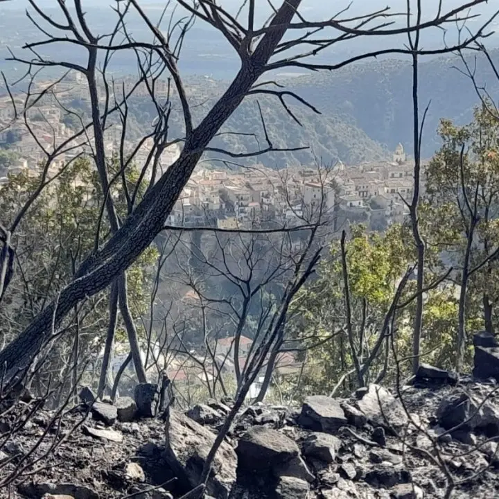 Dopo oltre 12 ore domato l’incendio di Rossano, evacuate cinquanta persone