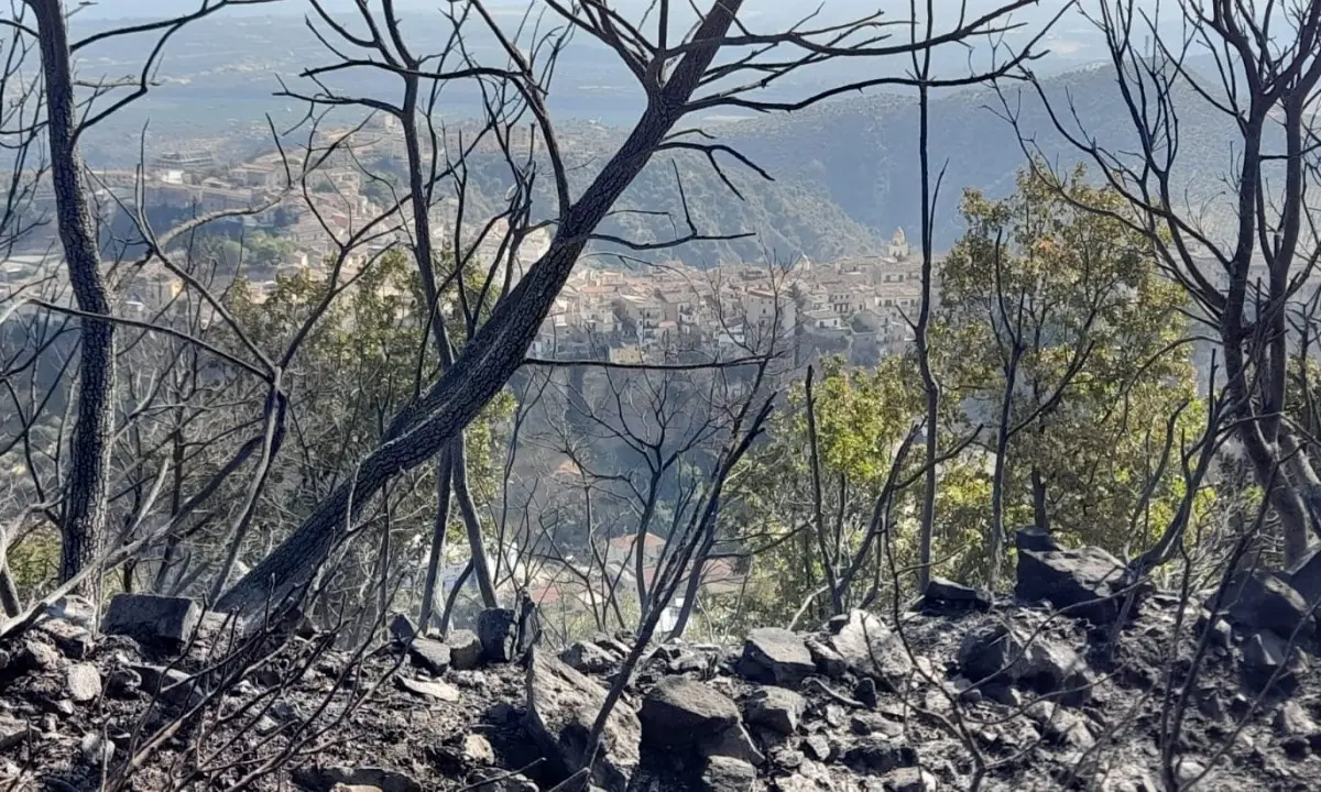 Dopo oltre 12 ore domato l’incendio di Rossano, evacuate cinquanta persone