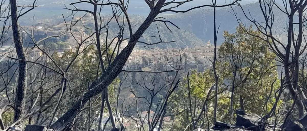 Dopo oltre 12 ore domato l’incendio di Rossano, evacuate cinquanta persone