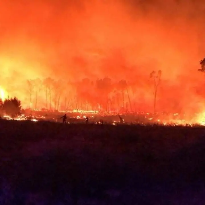 Incendi Calabria, brucia la pineta di Sovereto in piena Area marina protetta Capo Rizzuto - LIVE