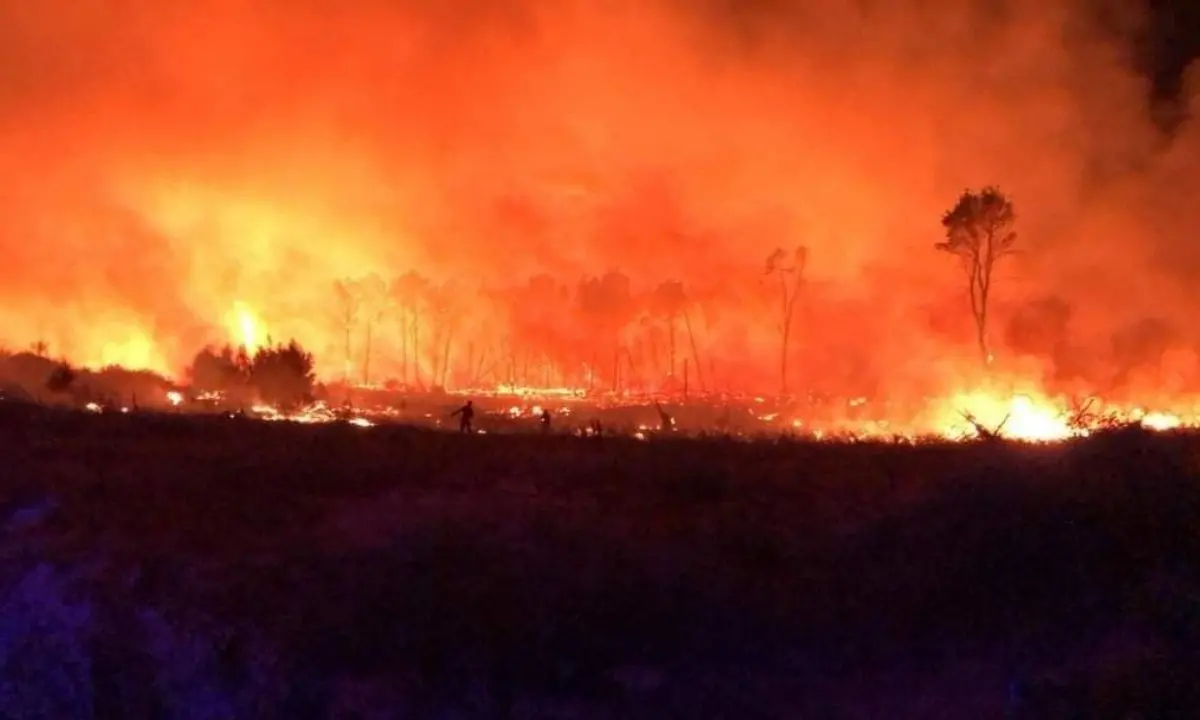 Incendi Calabria, brucia la pineta di Sovereto in piena Area marina protetta Capo Rizzuto - LIVE