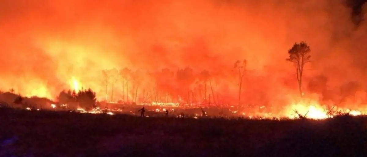 Incendi Calabria, brucia la pineta di Sovereto in piena Area marina protetta Capo Rizzuto - LIVE