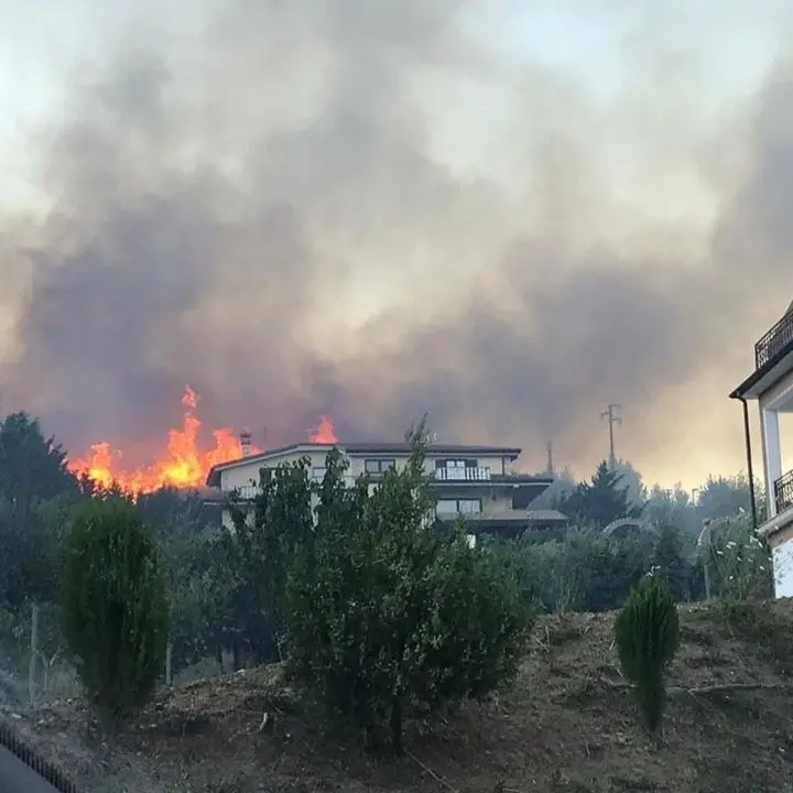 Incendi Calabria, a San Basile la montagna continua a bruciare: in azione 2 canadair - LIVE