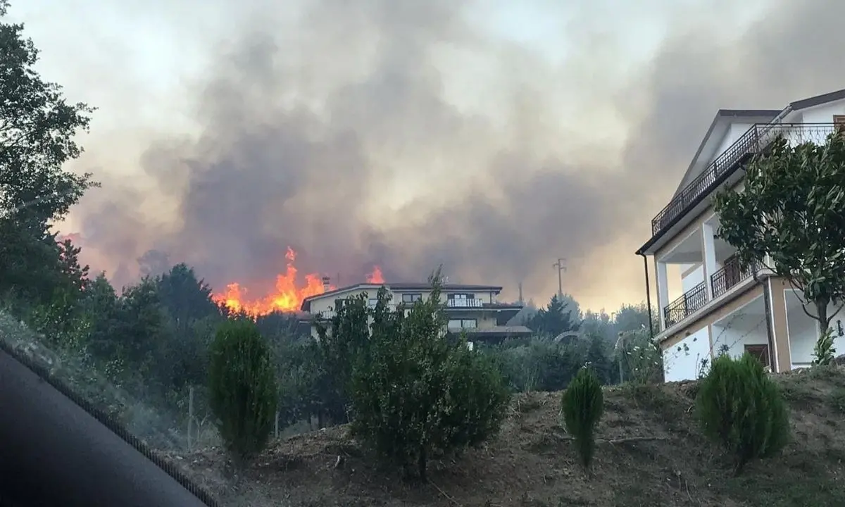 Incendi Calabria, a San Basile la montagna continua a bruciare: in azione 2 canadair - LIVE