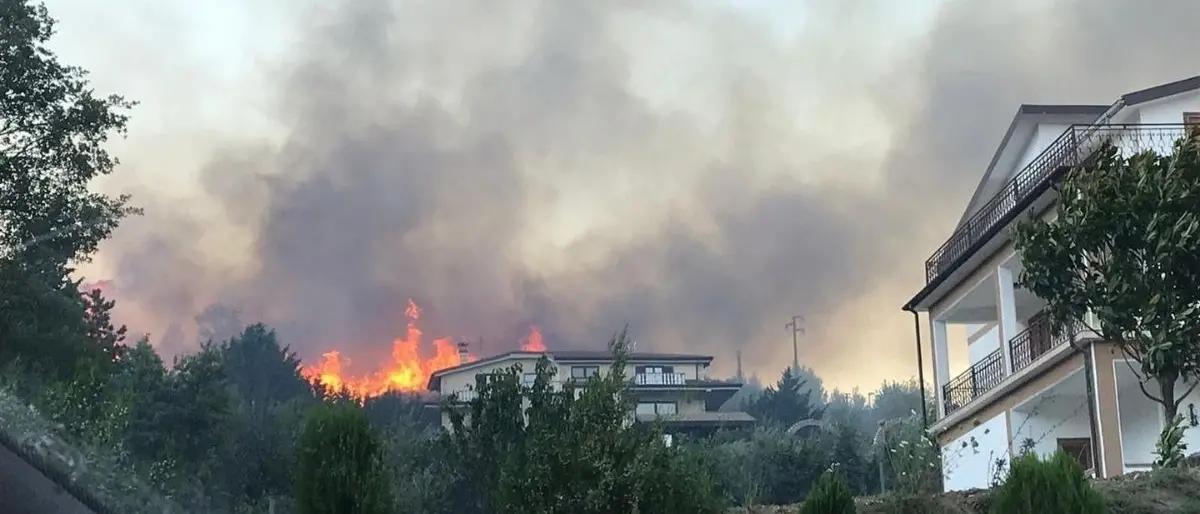 Incendi Calabria, a San Basile la montagna continua a bruciare: in azione 2 canadair - LIVE