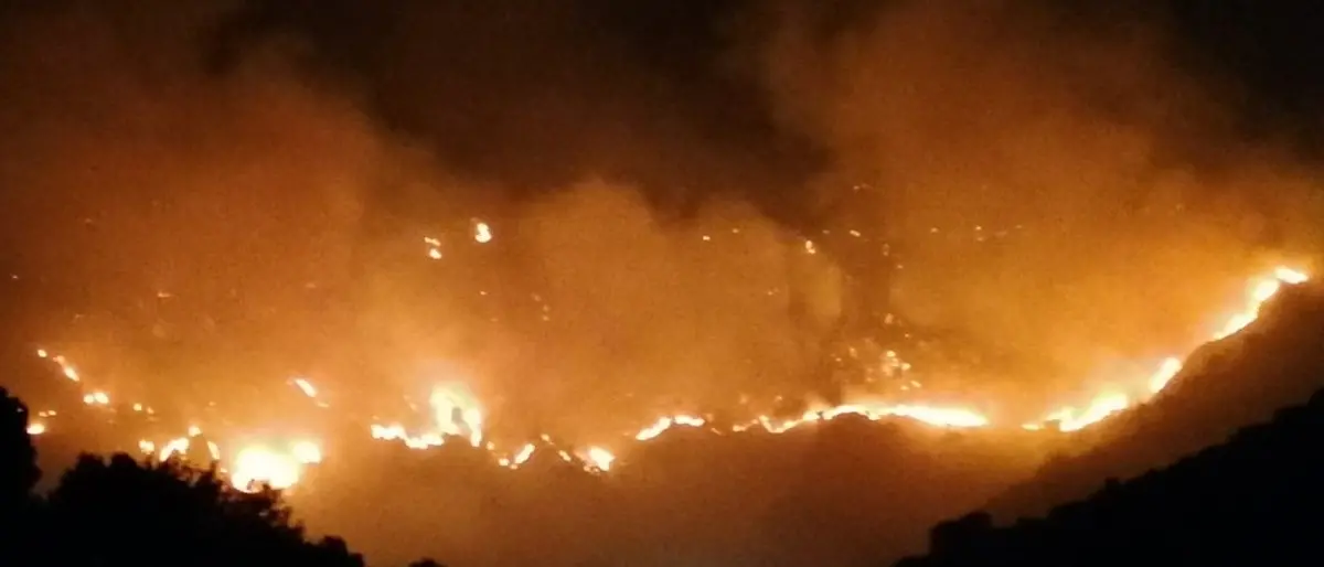 Incendi, i sindacati dei Vigili del fuoco: «Servono assunzioni, il Governo dia seguito alle parole»