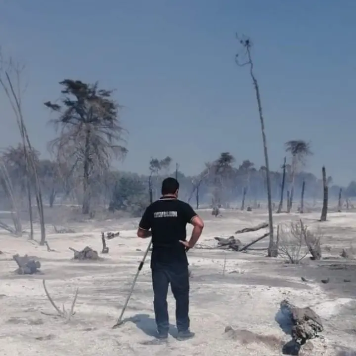 Incendi, un deserto di cenere: ecco cosa resta a Isola Capo Rizzuto della pineta di Sovereto