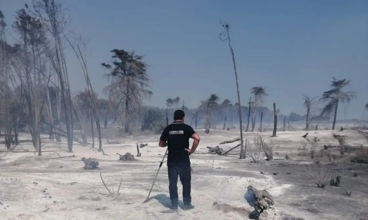 Incendi, un deserto di cenere: ecco cosa resta a Isola Capo Rizzuto della pineta di Sovereto