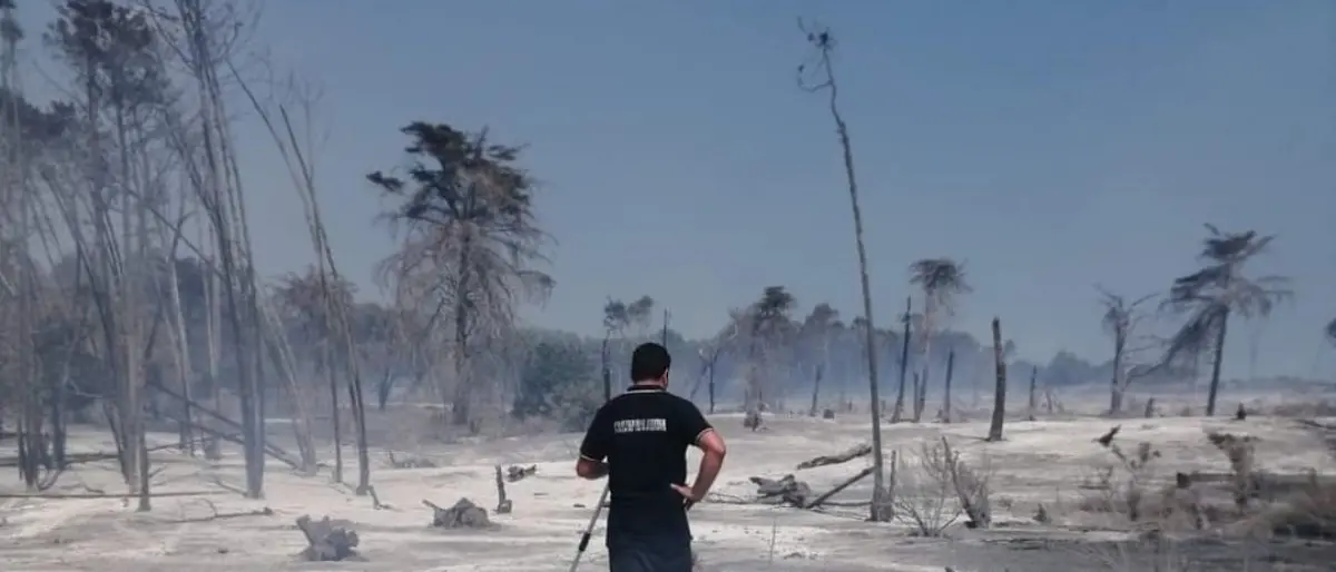 Incendi, un deserto di cenere: ecco cosa resta a Isola Capo Rizzuto della pineta di Sovereto