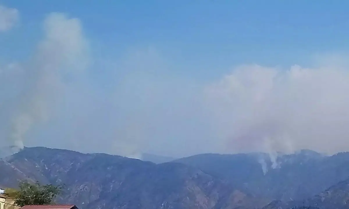 Incendi, l’Aspromonte brucia ancora: chiuse strade e sentieri per la diga del Menta e le cascate di Maesano